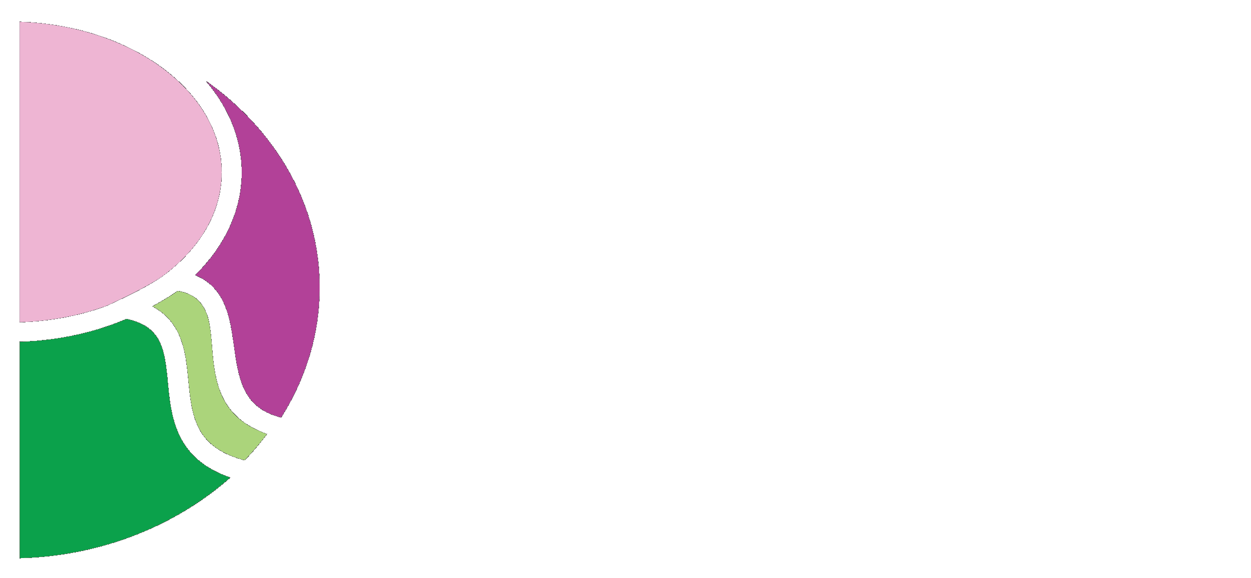 Dr Rose McGready Foundation
